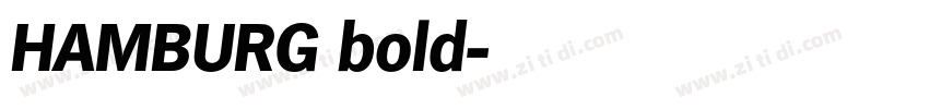 HAMBURG bold字体转换